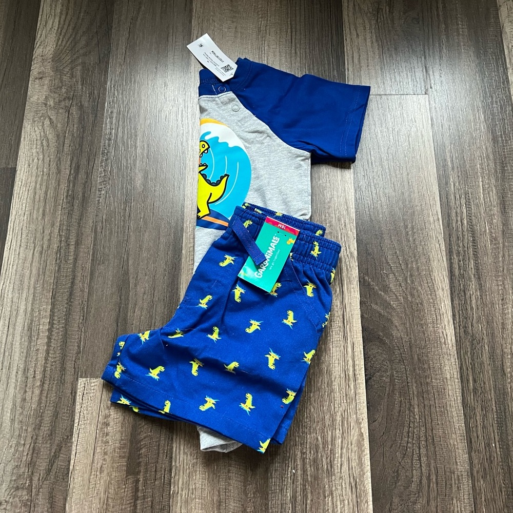 Garanimals Matching Set (size 18 months)